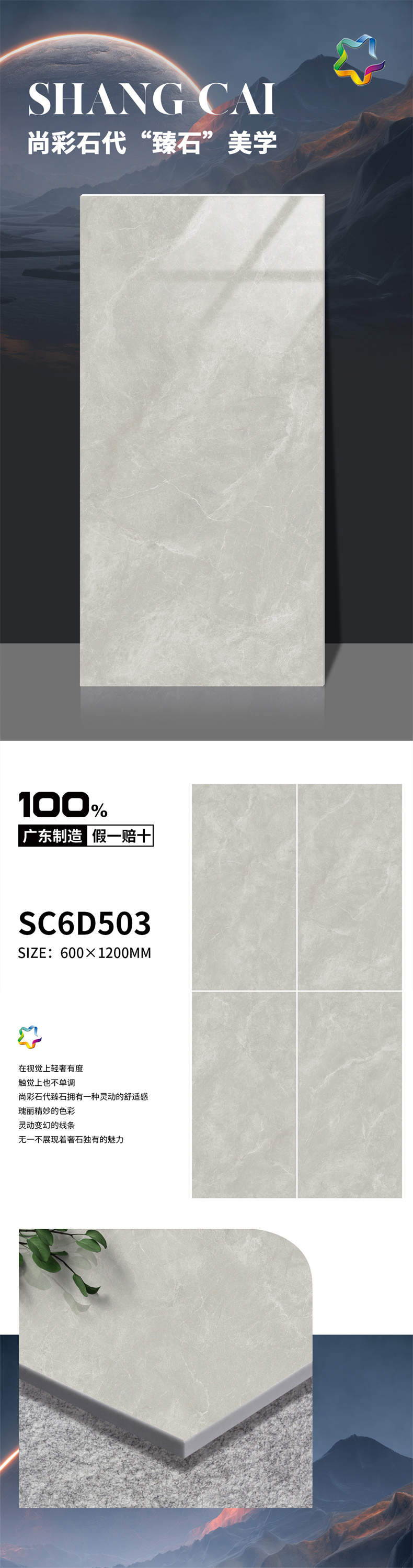 503.jpg