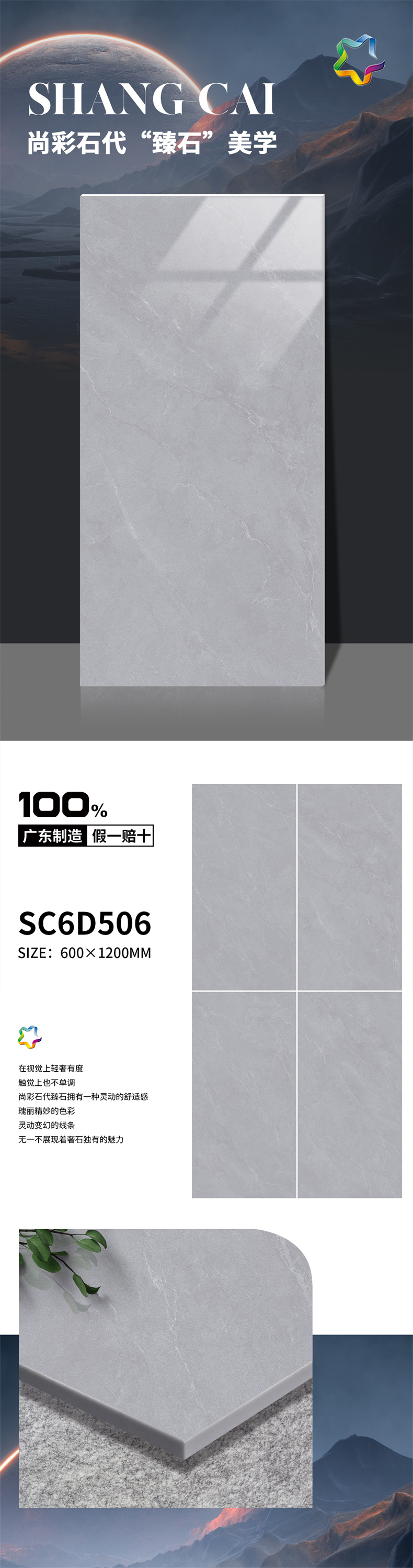 506.jpg