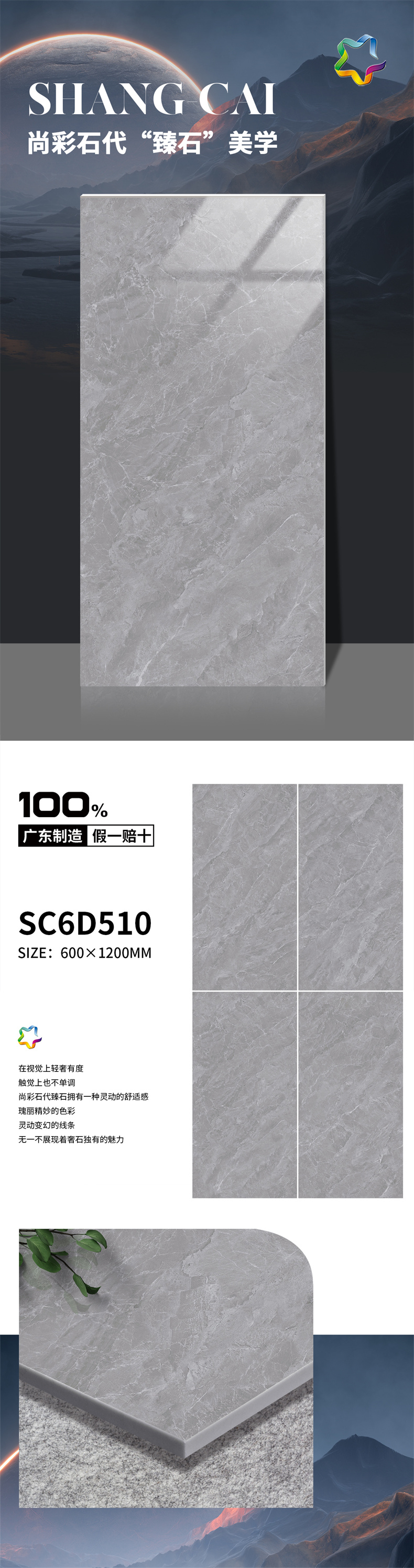 510.jpg