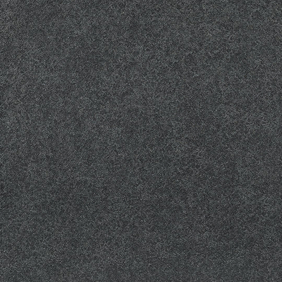 生態地鋪石 &nbsp;200x600 &nbsp;福鼎黑
