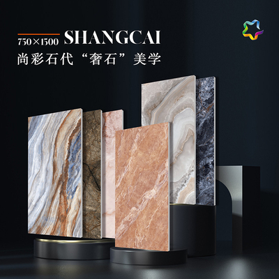 尚彩石代 &nbsp;750x1500 奢石